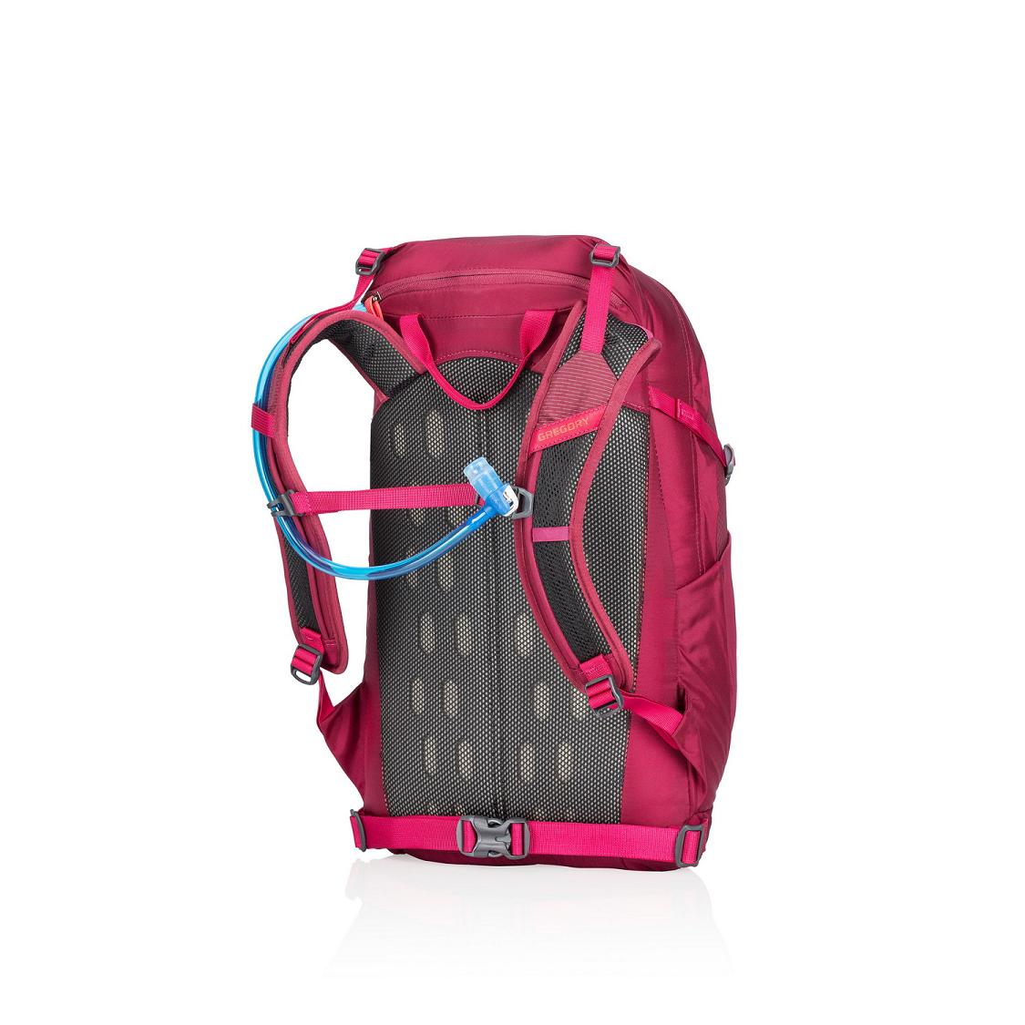 Women Gregory Swift 20 H20 Hiking Backpack Red Usa OYBT13508